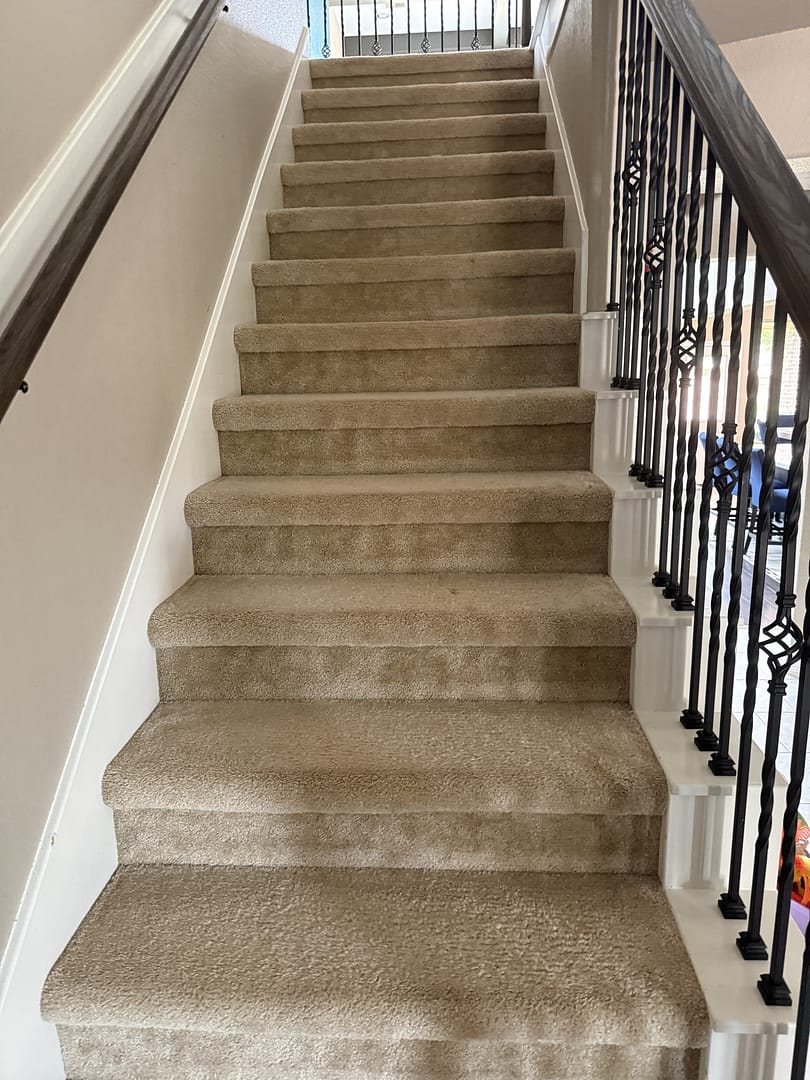 Carpeted stairs with white risers and black iron balusters in a Houston-area home, freshly vacuumed, with a patio visible through the railing.